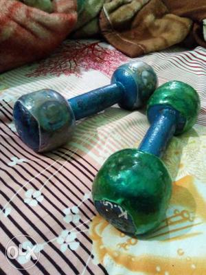 Two Blue Fix-weight Dumbbells