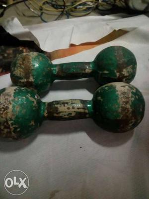 Two Green Pro Dumbbells