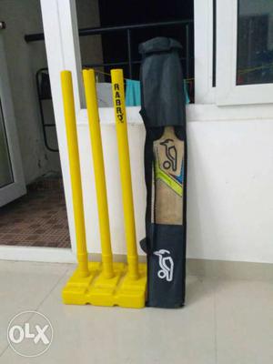Yellow Rabro stumps with kookabura cricket bat