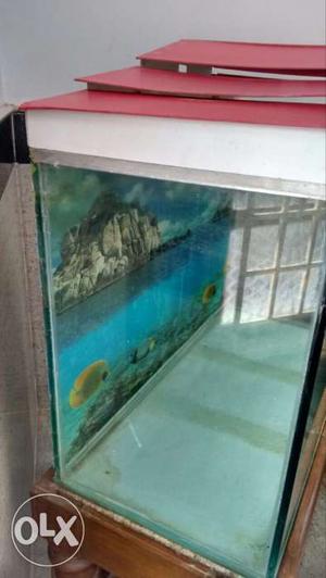 10mm thick Fish tank. lenght and height 3m breath
