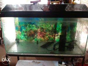 3 ft aquarium clean with stand + water filter