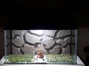 3D background aquarium 2 feet