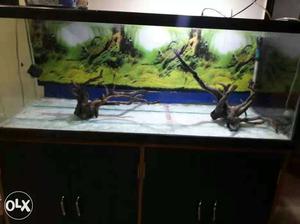 4 ft  aquarium with 2 malysian driftwoods;