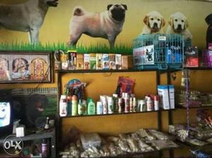 All Dog accessories, food supplements