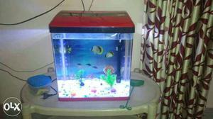 Aquarium for fish one week used after that pack it