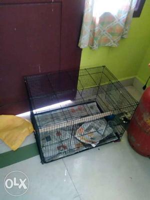 Bird cage size 2 feet length and 1.5 feet height