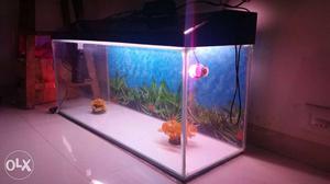 Fish Tank Used for only 1 year Including all