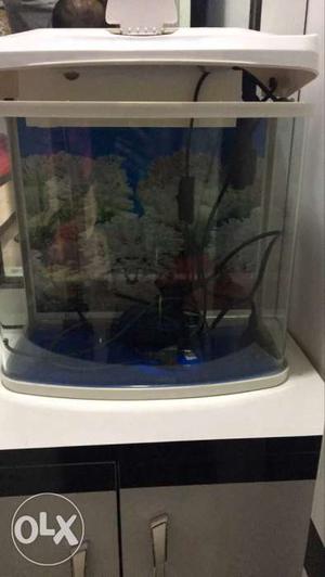 Fish Tank with Filter/light