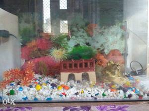 Fish aquarium in very good condition all items