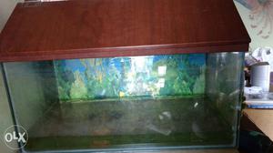 Fish aquarium with filter and wooden texture