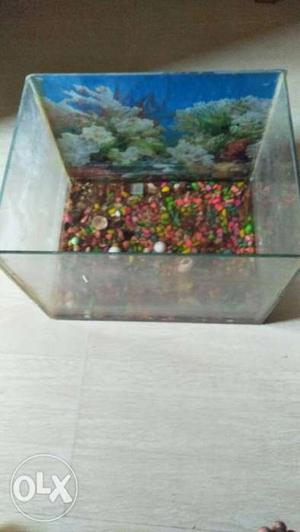 Fish tank at low price with stone