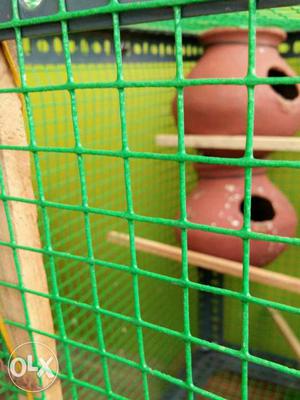 Green Steel Bird Cage
