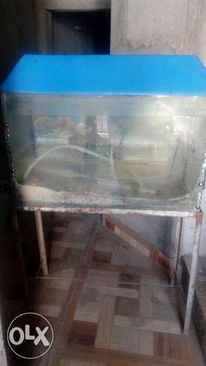I m sell my fish tank becouse i m not use