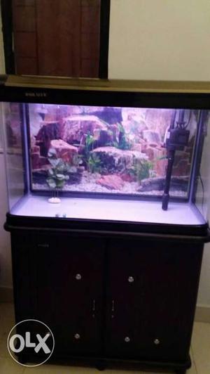 Imported aquarium with cabinet for sale only 6