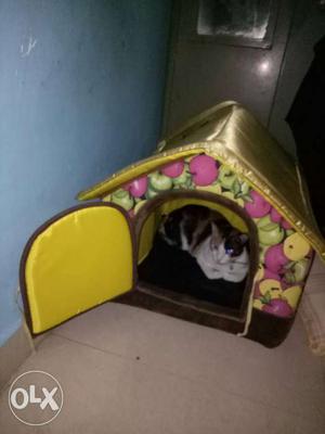 Lovely cat house used only for few days as my cat