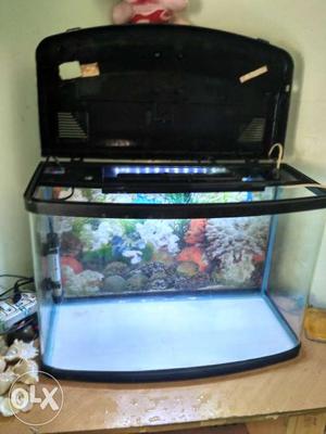 Molded Fish aquarium for sell in very good