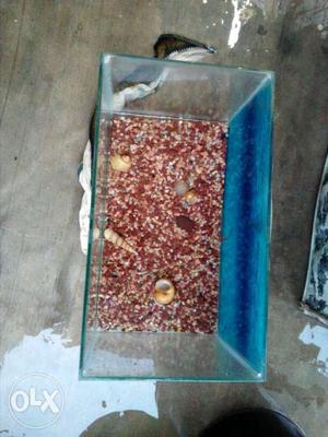 Sell Aquarium