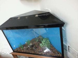 Triangular fish tank "