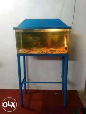 Fish aquarium with decorations and filter and