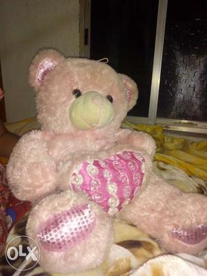 Soft Toy (Teddy Bear)