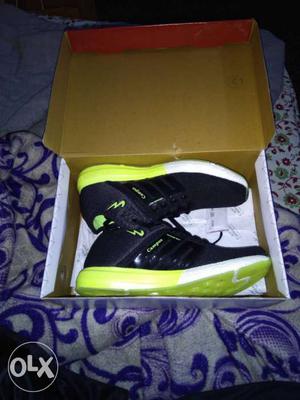 Brand new black color shoes, size 8 not used