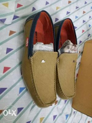 Brown-and-blue Leather Loafers With Box