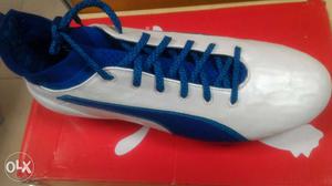 Puma Evotouch Football Leather Shoes.100 percent. Market