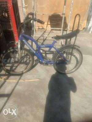 Blue And Black Banana Seat Bicycle