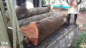 Mahagani wood 140cubic ft..Diameter 