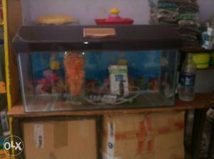 New aquarium and all accessories available very