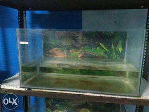 Used Fish Tank