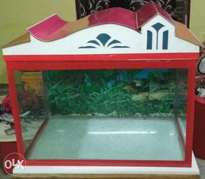 2 and half feet aquarium with Wooden Cabinet