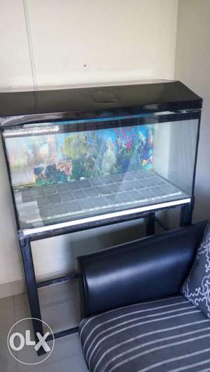 3.5 feet Aquarium with all accessories including stand