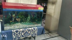 3ft fish tank (36inch×15inch×18inch)L*W*H WITH