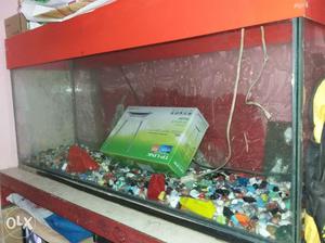 4 foot Fish tang which is good condition with