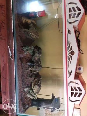 4 ft aquarium with all accessories, sparingly used