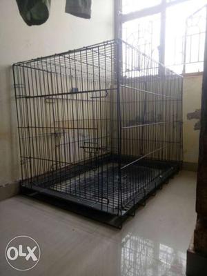 42" cage for sale... urgent sale... leaving cbe