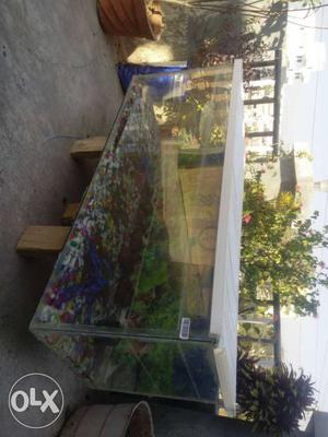 4ft long and 2ft width fishtank only 2mont used