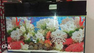 Aquarium Nd accessories