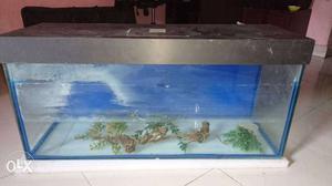 Aquarium Tank 36x18x12 inch with light, sand and
