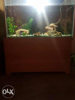 Aquarium for sell very large size decorate your
