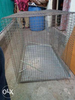 Big saiz bards cage in good condition