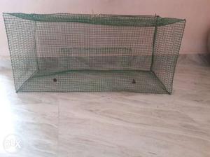 Bird cage available