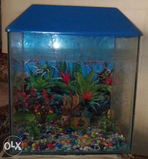 Blue Wood-frame fish aquarium