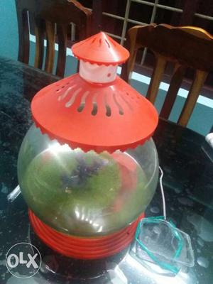 Fish Bowl just Rs.500 only