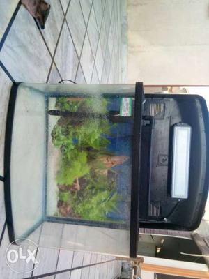 Fish Tank In Gohana