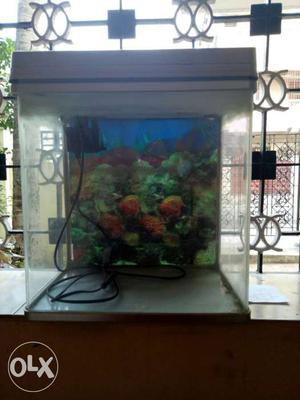 Fish Tank with Unbreakable Plastic body