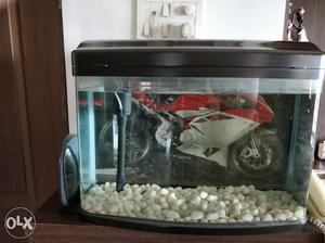 Fish aquarium for sale without the fish in full