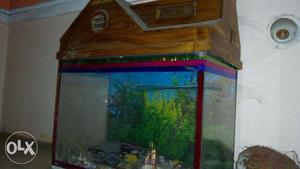 Fish aquarium with stylish wooden stand.