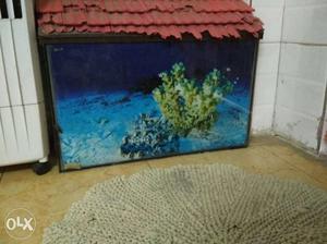 Fish tank 34 inch ka h good condition urgent sale